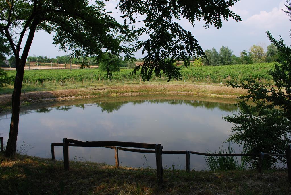 Agriturismo Ca' Vecia Castelnuovo del Garda Exterior foto