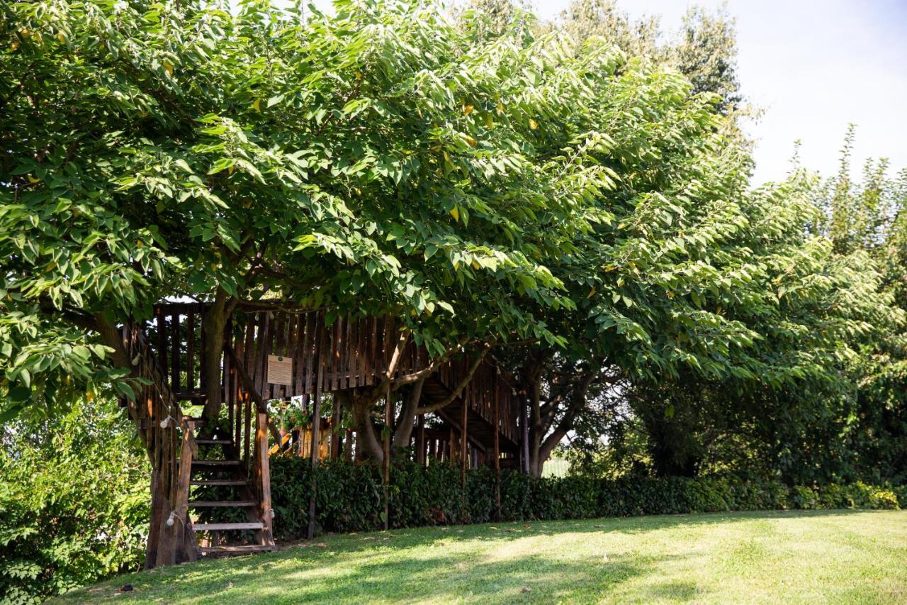 Villa Agriturismo Ca' Vecia Castelnuovo del Garda Exterior foto